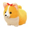 384560cm Kawaii Cute Corgi Stuffed Plush Toys For Children Soft Corgi Plush Doll Pillow Children Girls Kids Birthday Gift 240308