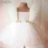 Girl's Dresses Baby Dress 0-5y Princess Dress Baby Baptism Dress Lace Net Party Dress LDD240313