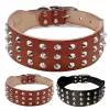 Colliers Collier de chien en cuir clouté à pointes pour petits chiens moyens bouledogue réglable AntiBite chiot sangle de cou colliers accessoires pour animaux de compagnie