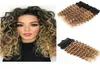 Ombre Deep Wave Remy Haarbündel Tressen lockig 1B27 für natürliche Echthaarverlängerungen8335424