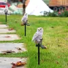 Skulpturer Trädgårdssolbelysning utomhus Owl Form Waterproof LED Lawn Lamp Stake Patio Yard Lawns Walkway Animal Pixie Decoration Landscape
