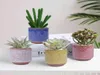 6 pièces Pots de fleurs en céramique plantes juteuses Pot de fleurs bonsaï Cacuts Pot maison jardin décor Mini plantes succulentes Pots usine directe Y0314860436