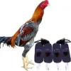 Carriers Rooster Cocks Chicken Leather Mitt Para Gallos Hen Safe Fighting Protection für Wrestling Rot 4 Paar Cockfighting Foot Cover