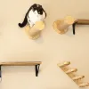 Scratchers Montowany na ścianie hamak hamak w kształcie księżyca drewniana drabina drapiąca po ścianie meble dla zwierząt do gry i spania kota
