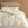 Comforters Set Soybean Fiber Winter Quilt Cotton Thicked Summer Spring and Autumn Space Quilt Single Person All-Season Universal Summer YQ240313