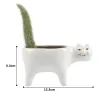 Jardinières 1pc créatif Succulent Pot de fleur en céramique mignon queue de chat personnalité dessin animé queue d'animal Saguaro Pot de fleur