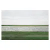 Andreas Gursky Rhein ii Pographie Peinture Affiche Impression Décor À La Maison Encadrée Ou Non Encadrée Popaper Material236r