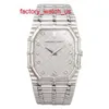 AP Hot Watch Racing Watch Mens Watch 18K Platinum Manual Mechanical Classic Fashion Watch Watch Luksusowy zegarek zegar Swiss
