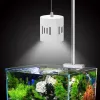 Pompe SUNSUN Serie ADT Forma di tubo Illuminazione regolabile Serbatoio acquatico LED Acquario Luce alghe a spettro completo