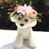 Hundebekleidung Haustier Blumenkopf Band Hochzeit Halsbänder Katze Kopfbedeckung Mode Simulation Ring Hoop Stirnband251N