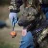 Giocattoli per animali domestici Super palla con coulisse Giocattolo per cani Resistente a mordere i denti Cani di piccola taglia, media e grande Golden Retriever Animali domestici Forniture di gioco