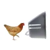 Accessories Chicken Nest Box Sturdy Chicken Coop Accessories Chicken Coop Nest Box Hen Nest Box for Farm Hens Egg Laying