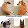 Oreiller Bend Dog Imprimé Coussin Enfants Tête de Chien Drôle 3D Animal Réaliste Mignon Jouet Coussin Cosplay Lavable Jouet Coussin pour la Maison