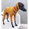 Rompers Winter Pet Big Dog Clothing Four legged Jumpsuit Nightwear High Collar Warm Italian Grey Dog Jumpsuit Coat Sweater
