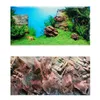 Dekorationen Juwel HD-Aquarium-Hintergrundmalerei, PVC, doppelseitiges Aquarium-Poster, Dekoration, Wand, 206 m