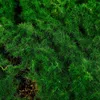 Mattor Micro Landscape Artificial Moss Fake Mini Garden Landscaping Prop Ornament
