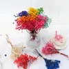 Bouquet de fleurs décoratives, un Bouquet de Mini fleurs séchées naturelles, souffle de bébé, décoration de saint-valentin et de noël, artisanat de bougie à bricoler soi-même