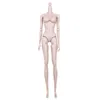 Mengf articulações móveis boneca corpo super modelo figura para cabeças fr branco bege marrom café 28cm coleção brinquedos 240304