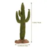 Decoratieve Bloemen Woestijn Groene Plant Model Planten Ornament Bureaus Tafel Decor Thuis Cactus Versiering Zand Versieren Ambachten