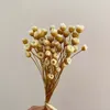 Decorative Flowers Real Dried Natural Mini Brazilian Pleasure Branch Miniature Dry Happy Flower Bouquet For Home 30CM/About 0.3CM Head