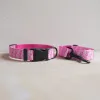 Uppsättningar Personlig hundkrage och koppel Set Big Dog Collar Namn Tag Anpassad liten medium stor hundkrage lyxblommig bly rep Nylon