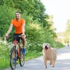 Trelas bicicleta cão walker filhote de cachorro tração corda pet andando trela bicicleta corrente puxando mãos livres ao ar livre seguro ajustável