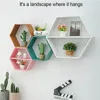 Decorative Plates Pot Storage Mount Nordic Shelves Frame Hexagonal Wooden Figurines Flower Display Toys Decor Shelf Wall Style Books Holder