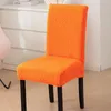 New autumn and winter Teddy velvet thick chair cover universal dining chair cover stone cover family seat cover 240314