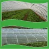 Netting växtgrönsaker insektsskydd Netto trädgård fruktvård täcker blommor växthus skydd netto skadedjur kontroll antibird 60 meshs