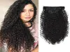 Curly Clip in Hair Extensions 3b 3c Kinky Curly Hair Clip Ins for Women Thick Soft 8A Brazilian Remy Hair 120g5192432