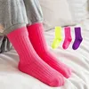 Barnstrumpor 3 par/Lot Children Socks Spring Summer Japanese Style Barn Socks Candy Color Boys and Girls Mid-tube Socks YQ240314