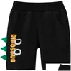 Shorts designer bomullssport i 1-9 år barn barn sommarbyxor med dinosauri tecknad broderi knickers baby pojke flickor butik otagh