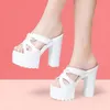 Sandalen van 14 cm High 647 Heel Chunky dames 2024 Summer Platform Open Toe Wit Black Shoes 18682