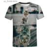 Camisetas para hombres Camiseta divertida para niños Camiseta animada con estampado de gatos felinos en 3D para hombres Tops Hombre de verano Gatos lindos Camisetas Ropa de mujer de gran tamaño Y240321