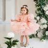 Girl Dresses Vintage Organza Ball Gown Flower Tiered Ruffles Kids Birthday Gowns Knee Length Little Girls Poshoot