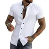 Casual overhemden voor heren Heren Zomer Dun overhemd Stijlvol Slim Fit Met omgeslagen kraag Korte mouwen Single-breasted Voor formeel