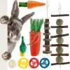 Jouets 16 pièces petit Animal jouets à mâcher paquet pour lapin lapin Hamster guinée Chinchillas nettoyage des dents molaire meulage jouets accessoires pour animaux de compagnie