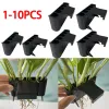 Decorações 101PCS Cesta de plantas de aquário Cremalheira de cultivo de plantas com gancho integrado Decorações Rack para tanque de peixes Aquário vivo em vaso