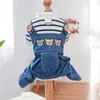 Hondenkleding Huisdier overall Ronde hals Schattig met trekring Cartoon beerpatroon Kat Denim Jumpsuit Ropa Perro XS-XL