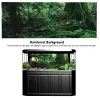 Dekorationer PVC Double Side Aquarium Bakgrund Poster Decoration Fish Tank Wall Lanscaping Rainforest Terrarium Fish Tank Decorations