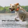 Alarm Factory Wholesale World Minsta 4G GPS PETS TRACKER IP67 Vattentät gratis App Real Time Tracking Antilost för hundkattdjur