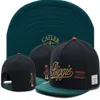 New Fashion regolabile CAYLER SONS snapbacks Cappelli snapback caps Cayler and sons cappello cappelli da baseball cap hater diamante snapback cap239l