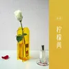 Vase à fleurs en acrylique coloré, Design contemporain moderne, conteneur Floral, décoration pour la maison et le bureau, 240312
