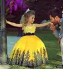 Robe de bal jaune élégante en dentelle, longueur au sol, robes de concours pour petites filles, avec des appliques de princesse, robes de fête pour enfants, cadeau de noël7681553