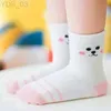 Kids Socks 5 Pairs Baby Girls Socks Spring Summer Cotton Newborn Baby Socks Baby Meias Para Bebe Kids Socks for Children Boys Socks 1-12Y YQ240314