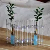 Vases Hinged Flower Vase Clear Test Tubes Flower Pot Creative Vase Floral Hydroponic Container For Home Desktop Dining Table Decor