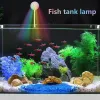 Lightings Aquarium Light 360Gree Rotation USB Fish Tank Lamp Aquarium Accessories for Turtle Tank Fish Tank Aquarium vardagsrum