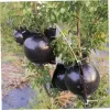 Pots 10Pcs Plant Root Growing Box Cutting Grafting Rooting Ball Garden Sapling Propagation Balls (5/8/12cm) Breeding Equipment