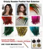 Grizzly Rooster Feather Hair Extension 100pc Feathers Extensions 1 Needle and 200 Beads GRF2017621241