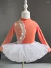 Sahne Giyim Uzun Kollu Bale Tutu Çocuk Line Dance Dans Latin Takım Dantel Patchwork Leotard Kostüm Çocuklar Klasik Kız Atlar